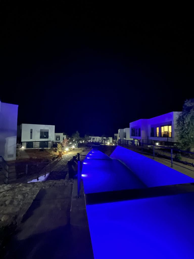 Peyzaj Entegrasyonlu Dekoratif Süs Havuzu - 2